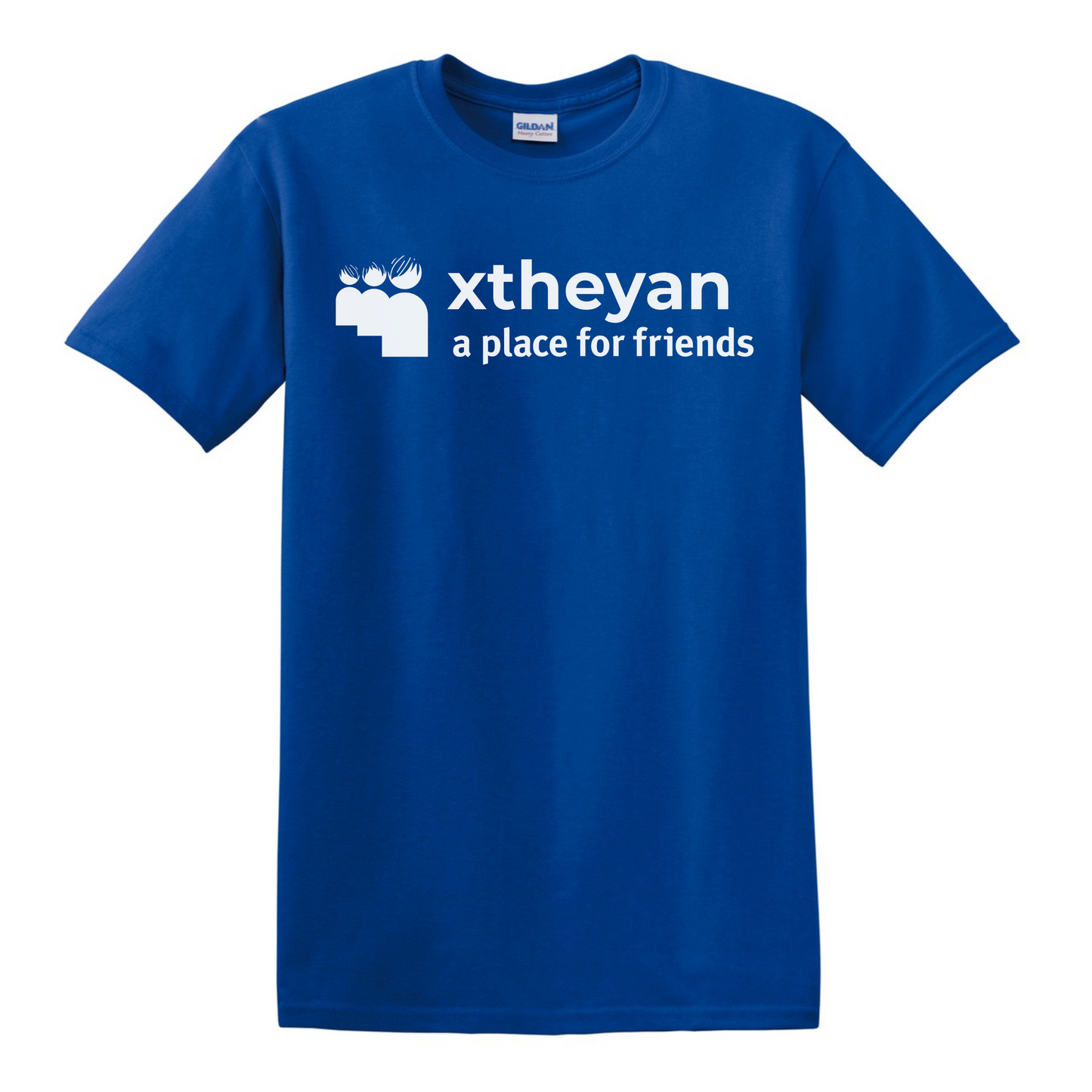 A Place For Friends t-shirt